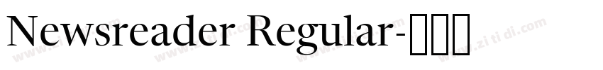 Newsreader Regular字体转换
